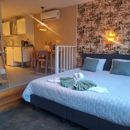 Appartement Berglust Met Serre En Gratis Parkeren Rotterdam