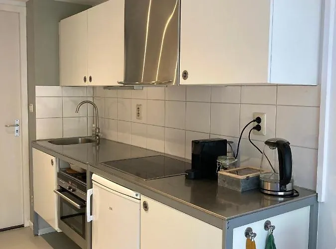 Berglust Met Serre En Gratis Parkeren Roterdão